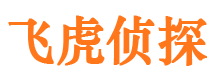 娄底市婚外情调查